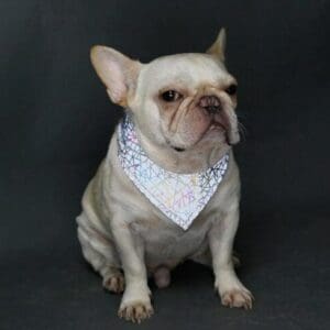 Elegant wristwatch on a wooden surface.