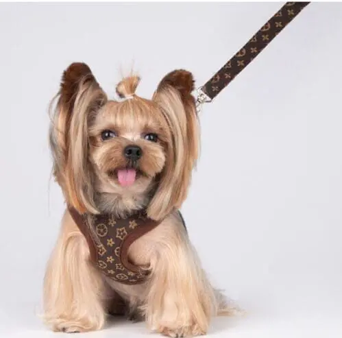 Luxury Walking Gear