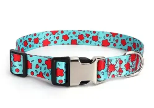 Dog Collars with Engraveable Metal Buckles