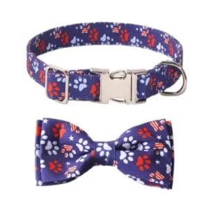 Woman in elegant black evening gown.