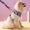 Luxury Harness and Leash - Image 4