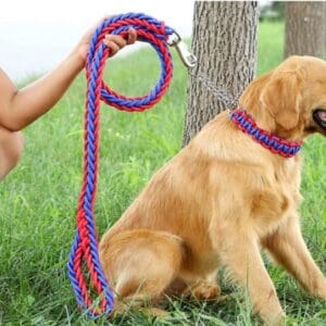 Elegant dining room with modern decor.