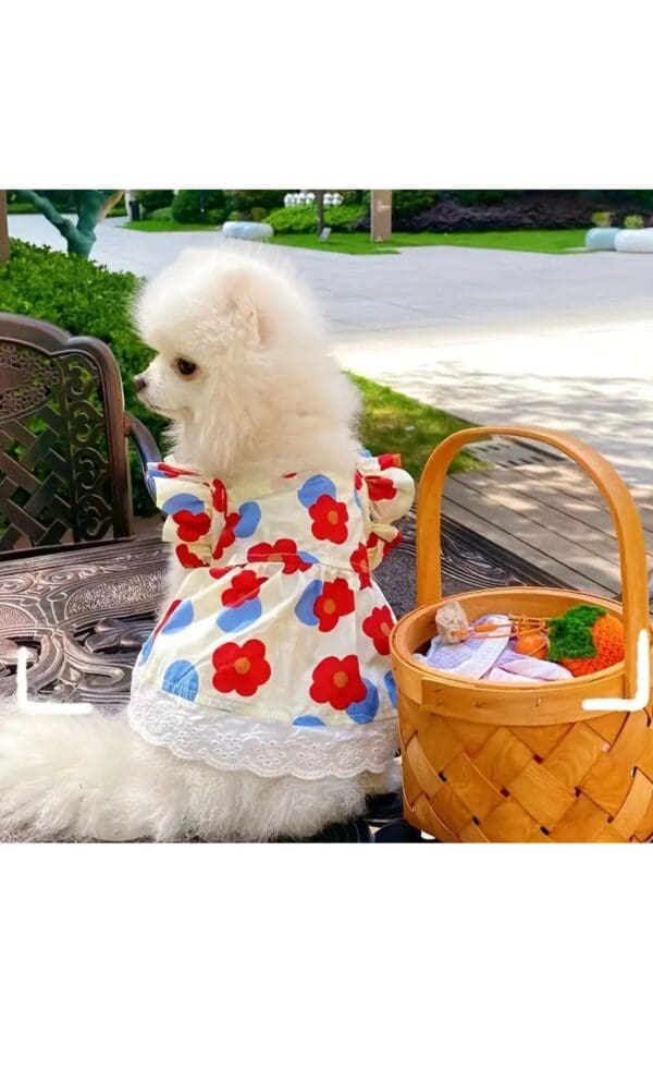 Summer Dresses - Image 7