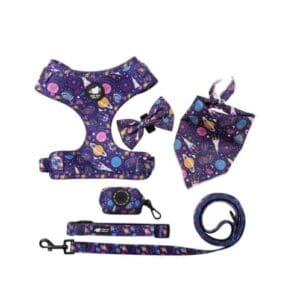 Elegant woman in stylish urban summer outfit.