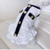 Dog wearing white lace dress with buttons.