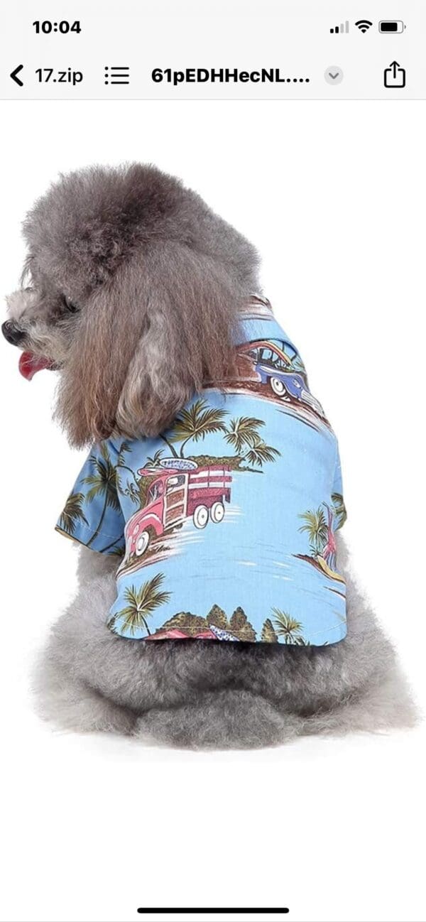 Colorful Hawaiian Shirts - Image 4