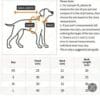 Dog size measurement guide with chart.