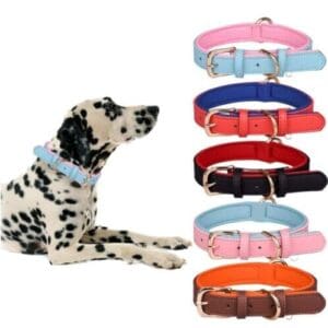 Elegant dining room with modern decor and lighting.