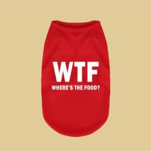 Elegant woman in stylish autumn outfit outdoors.