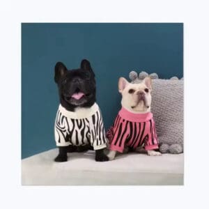 Boston cityscape at sunset with skyscrapers.