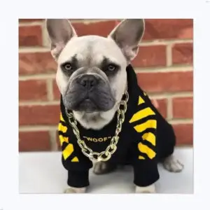 Elegant bridal gown displayed in boutique window.