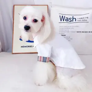 Elegant living room with modern decor elements.