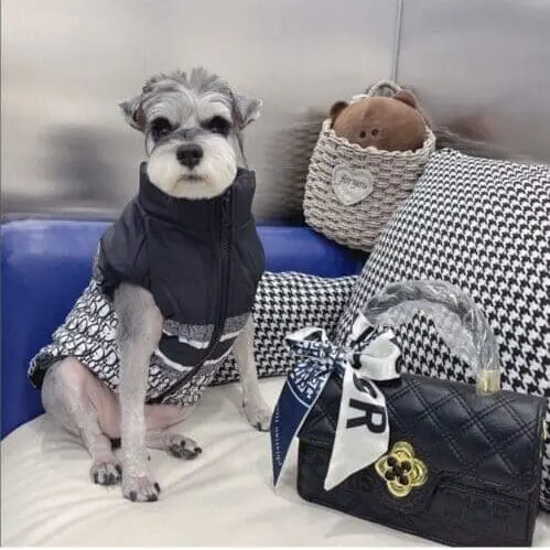 Luxury Winter Vests