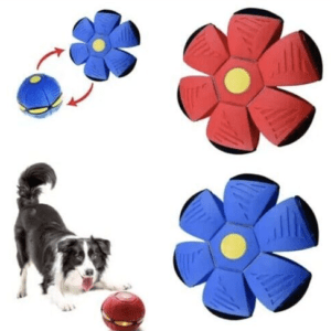 Elegant modern living room with large windows.