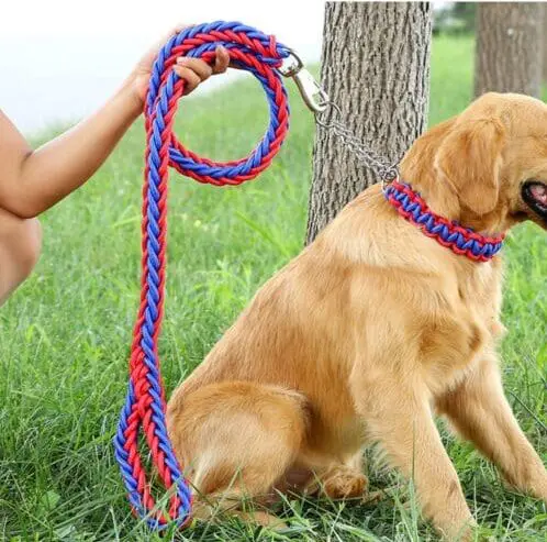 Leashes