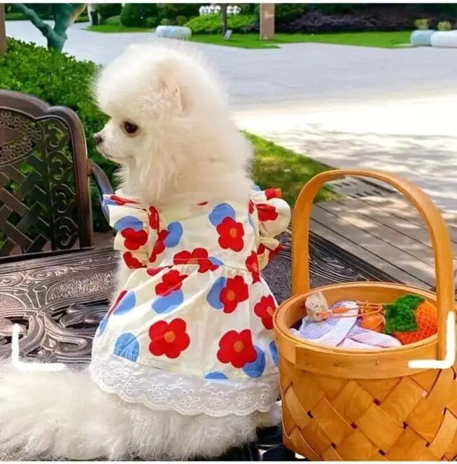 Summer Dresses