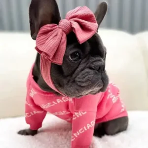 Elegant dining room with modern decor elements.