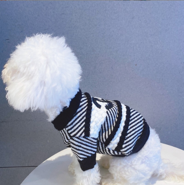 Miss/Mr. CC Sweater - Image 2
