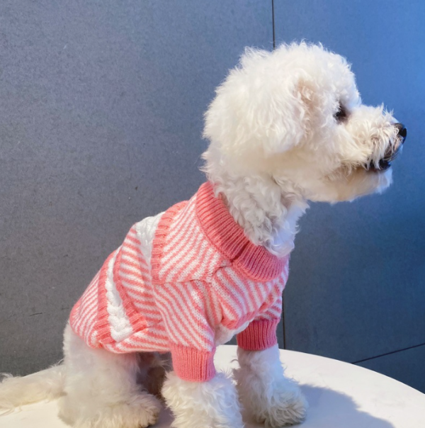 Miss/Mr. CC Sweater - Image 3