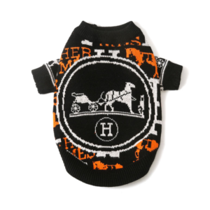 Elegant outdoor wedding ceremony with floral arch.