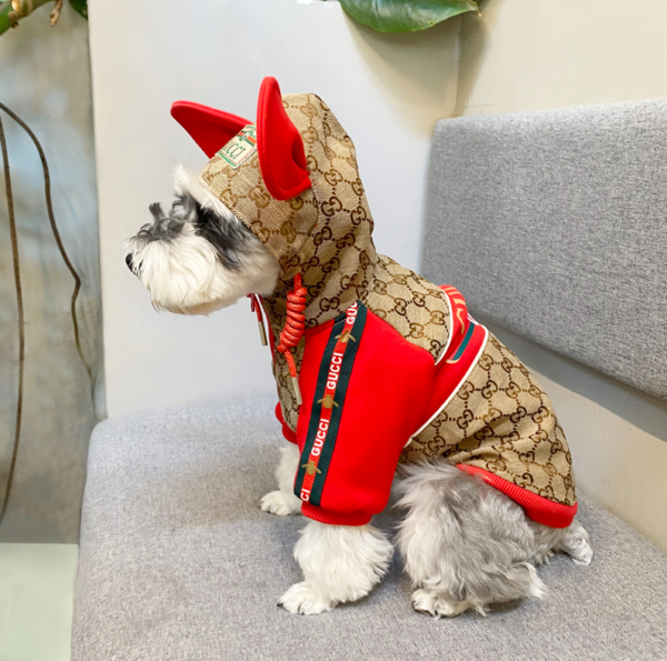 Miss/Mr. Gucci Winter Jacket - Image 2