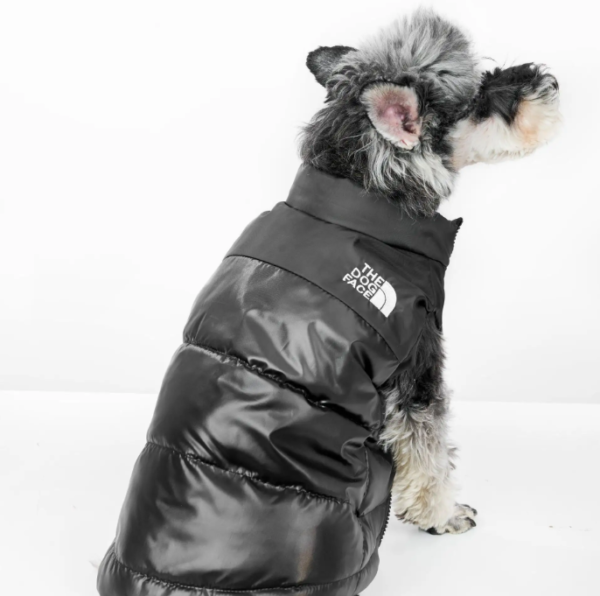 The Dog Face Down Jacket - Image 2