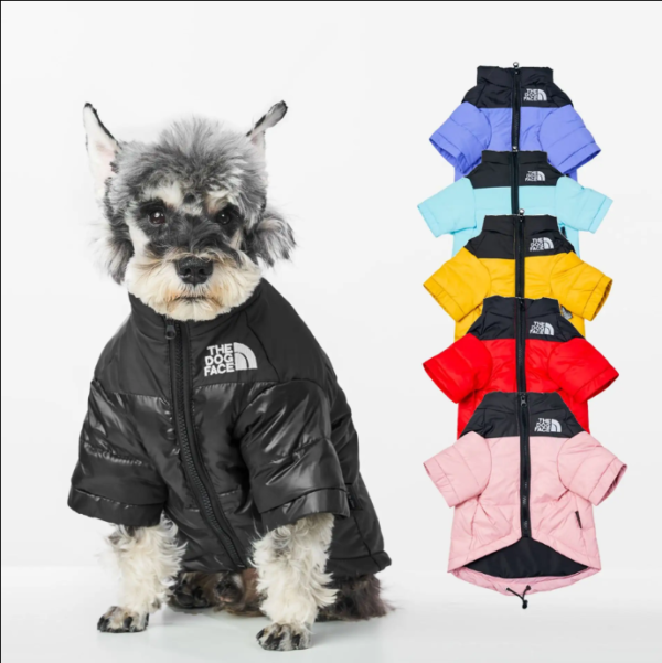 The Dog Face Down Jacket